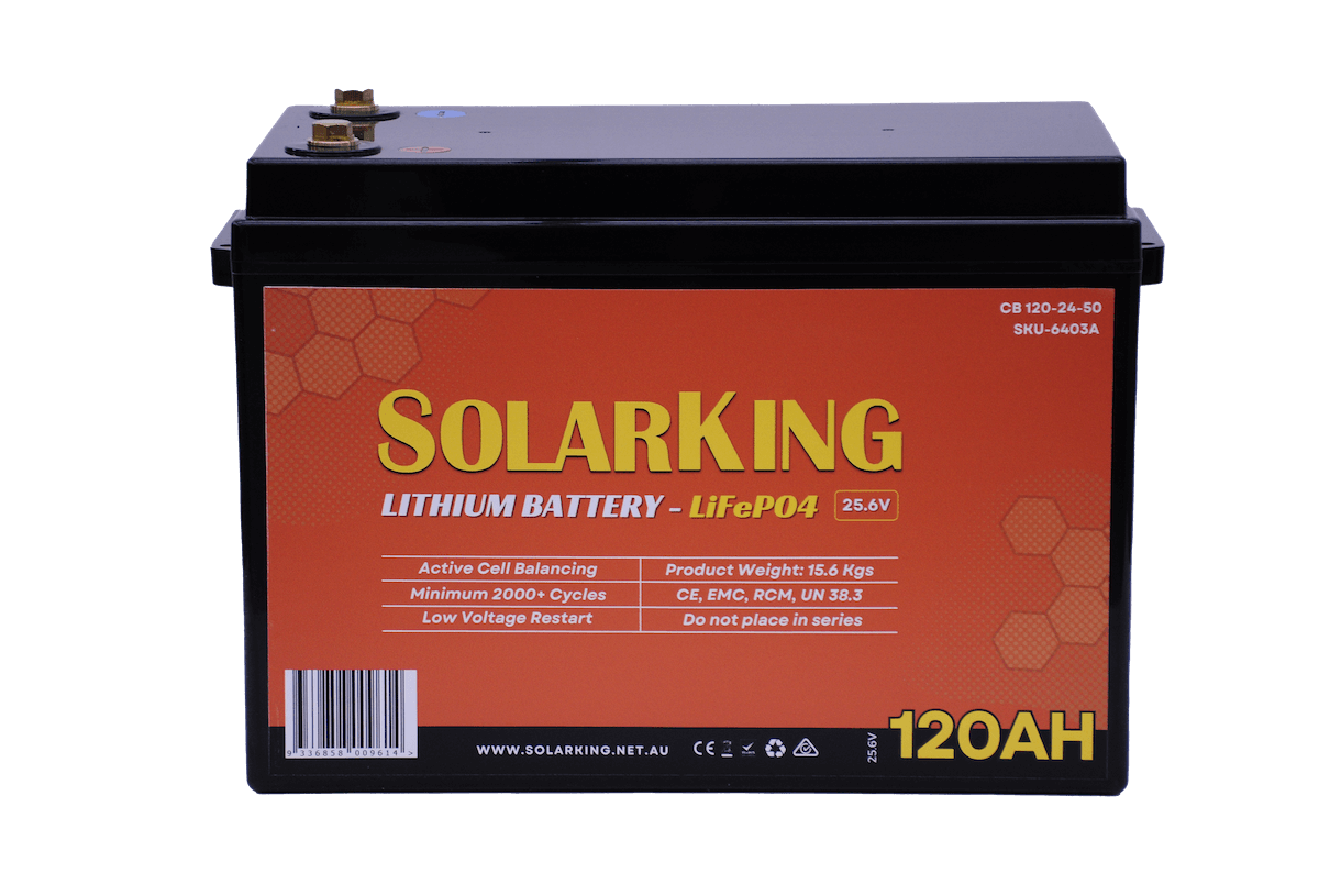 25.6V 120AH SolarKing Lithium Iron Plastic Case CB-120-24-50